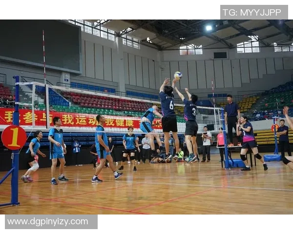 南京排球队总决赛精彩表现分析团队协作的重要性与未来展望