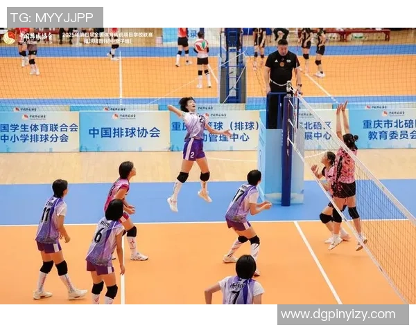 深度对话：李芳如何在排球世界中追寻梦想与成长的故事